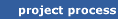the project management process